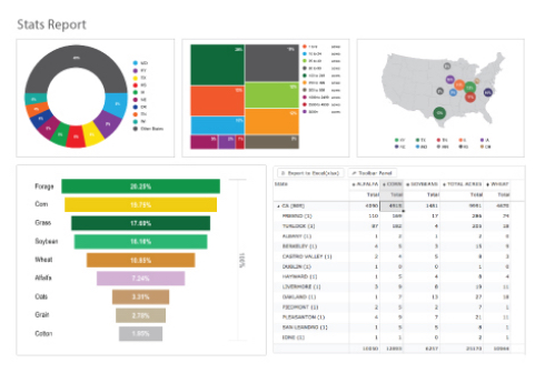 Visual-Report