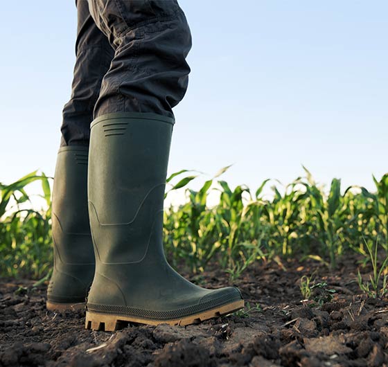 2 Million Farmers and Ranchers in the U.S.