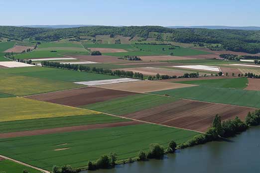 The Farm, United States