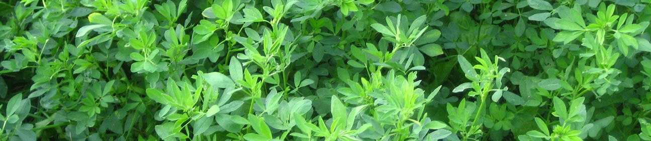 Database of Alfalfa Farmers in the U.S.