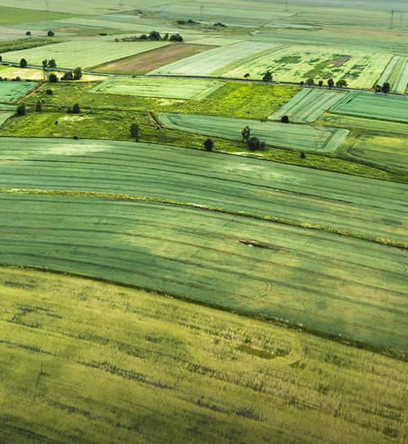 Percentage of small medium and large farms in the US